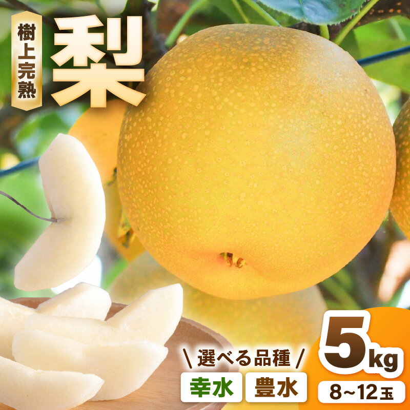 【ふるさと納税】【先行予約】 ゆみたか農園の梨 【選べる品種：幸水梨 / 豊水梨】 1箱 5kg入り (8～12玉) 樹上完熟！濃厚な甘さに手が止まらない！【2025年8月中旬以降順次発送予定】【梨 和梨 赤梨 なし フルーツ 甘い みずみずしい 果実 果物 新鮮 旬の果物 産地直送】