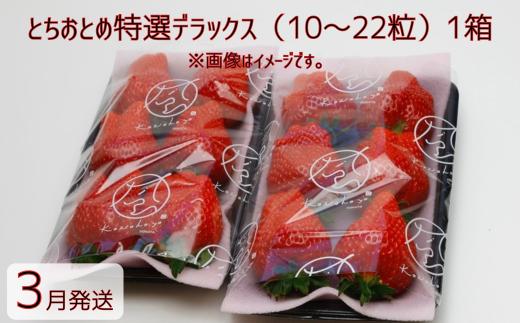 【3月発送】いちご とちおとめ特選デラックス　10～22粒×1箱（2パック） 苺 イチゴ とちおとめ 選べる 発送月 発送回数 個数 いちご「とちおとめ」風早いちご園 有名ホテル使用 厳選 フルーツ 果物 季節限定 甘い 濃厚 ジューシー 新鮮 1箱 送料無料 ギフト 贈答 茨城県 鉾田市 野菜王国 予約受付