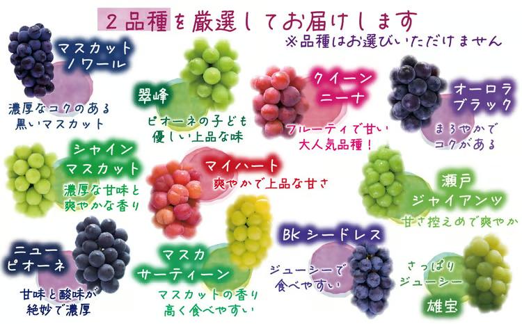 【2027年先行予約】 ぶどう 岡山 【訳あり】 花笑み農園の ぶどうおまかせ2種 （計1kg分お届け！） 農園厳選 / ぶどう ブドウ 葡萄 シャインマスカット ピオーネ クイーンニーナ オーロラブラック 瀬戸ジャイアンツ 翠峰 BKシードレス マスカサーティーン マスカットノワール 雄宝 マイハート 真庭市 【hana049-03】