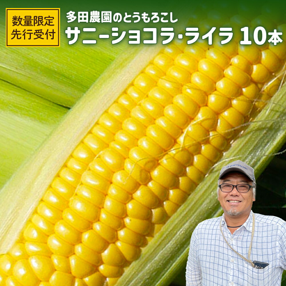 【ふるさと納税】【とうもろこし数量限定先行受付！】多田農園のとうもろこし　サニーショコラ・ライラ10本【5100501】