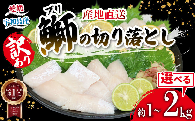 
＼10営業日以内発送／ブリ 訳あり 鰤 ぶり 切り落とし 計約 1kg ~ 2kg セット （ 250g × 4~8 パック ） 選べる 内容量 南予ビージョイ わけあり 訳あり品 鰤 ブリ ぶり buri 養殖 刺身 お刺身 漬け丼 茶漬け 鰤しゃぶ ぶりしゃぶ 冷凍 小分け 人気返礼品 大容量 国産 愛媛 宇和島
