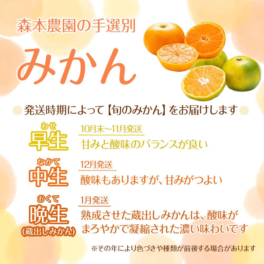 家庭用 森本農園の手選別 小粒みかん 約1.5kg 和歌山県産 2S・3Sサイズ混合 ［北海道・沖縄・離島配送不可］［2025年11月上旬から順次発送］［RN59］DJ90059_イメージ2