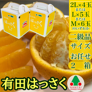 ちょっと 傷あり 手さげ箱 有田 はっさく 2L ~ M 4~6玉入2箱セット 南泰園 みかん