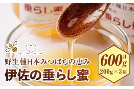 C0-05 ＜数量限定＞伊佐の垂らし蜜(600g・200g×3個) 伊佐市 特産品 国産 はちみつ 百花蜜 野生種 日本ミツバチ 蜂蜜 ハチミツ ハニー【ゆず香房】