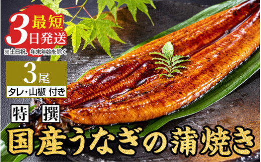 
特選　国産うなぎ蒲焼き 3尾（120g以上×3尾） | メディアに紹介されたうなぎ屋 国産 冷蔵 うなぎ 鰻 ウナギ タレ・山椒つき かば焼き
※着日指定不可
※離島への配送不可
