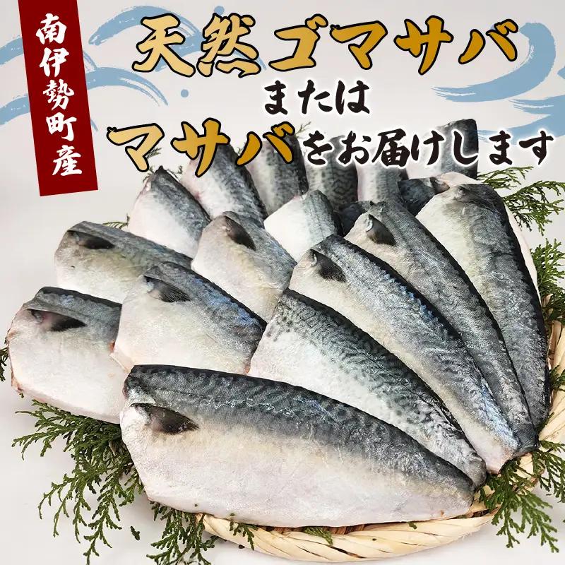 訳あり 無塩サバ 国産 4kg 【サバ】