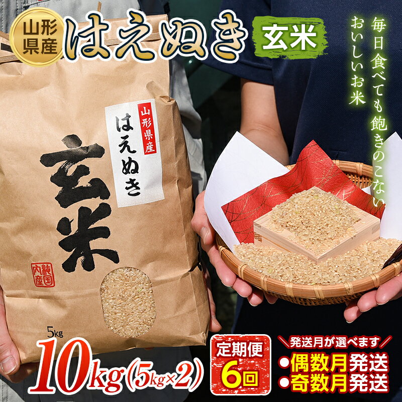 【ふるさと納税】 【スタート選べる 6回定期便】山形県産 はえぬき 玄米 《10kg（5kg×2袋）×6回》 FSY-0674