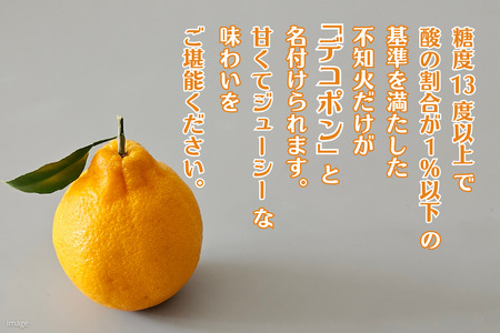デコポン 佐賀みかん デコポン不知火 B195-006