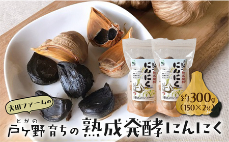 黒にんにく 熟成発酵にんにく 150g×2袋 甘さが自慢！ 白川郷産 黒ニンニク 岐阜県 飛騨 大田ファーム 白川村 戸ヶ野 にんにく 10000円 1万円 [S013]