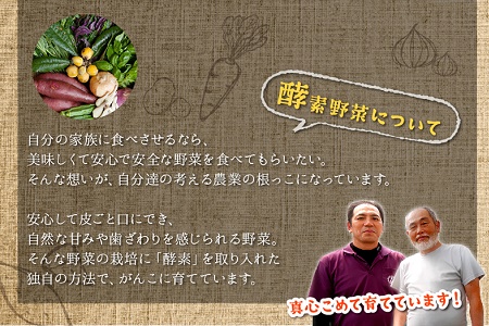 004-01 酵素栽培人参ジュース720ml×6本