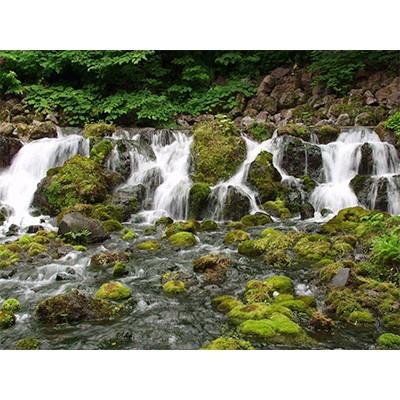 ふるさと納税 江別市 ノースライブコーヒー　羊蹄山麓湧水珈琲(無糖) 1000ml×2本セット |  | 01