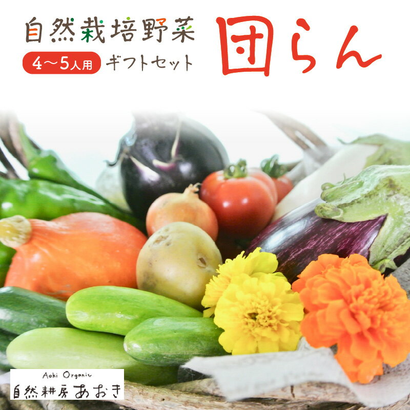 【ふるさと納税】【数量限定】自然栽培野菜セット（団らん）10〜12種 4〜5人用 ふるさと納税 野菜 自然栽培 旬野菜 季節 セット 詰め合わせ 百貨店 ホテル 栽培期間中 農薬 化学肥料 京都 産地直送 やさい 野菜セット おまかせ おすすめ 美味しい 自然 色鮮やか 甘み