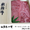 【ふるさと納税】飛騨牛 サーロインステーキ 200g×3枚 和牛 肉 ステーキ 高級肉 熨斗掛け 日付指定可［F0021ch］50000円 5万円