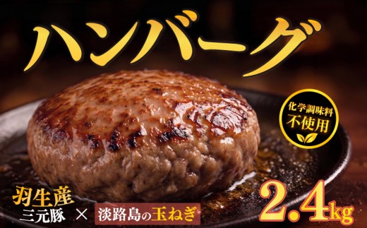 大判ハンバーグ ハンバーグ 牛肉 豚肉 あいびき 2.4kg 小分け 個包装 大判ハンバーグ 惣菜 冷凍 合挽きハンバーグ 保存料不使用 無添加 国産 はんばーぐ hannba-gu ハンバーグ ランキング 人気ハンバーグ 肉 弁当 冷凍食品 簡単調理 国産ハンバーグ ふるさと納税ハンバーグ ハンバーグ食べ比べ にく 冷凍 はんばーぐ 冷凍はんばーぐ おかず 簡単 惣菜 お惣菜 hannba-gu