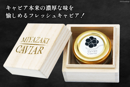 キャビア 日向キャビア (Hyuga Caviar) 20g 桐箱入り