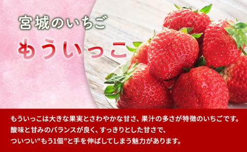 【3月発送】亘理町のいちご もういっこ 250g×4パック ＜オンライン決済限定＞※先行受付中！！	