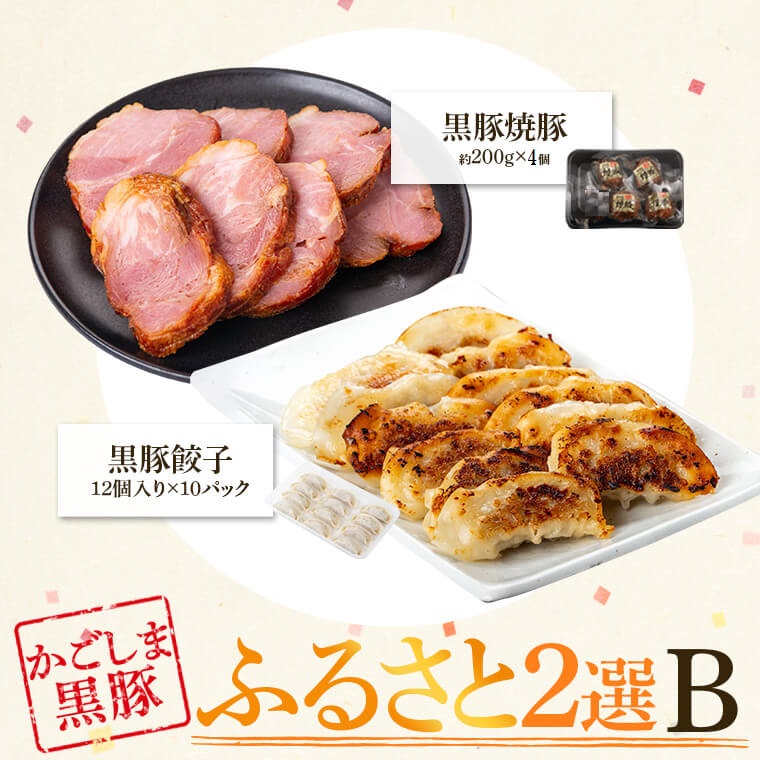 【B02104】ふるさと2選B （焼豚 約200ｇ×4個、 餃子 12個入×10パック）