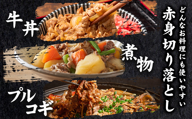 大川原高原牛 赤身切り落とし 750g 肉の藤原《30日以内に出荷予定(土日祝除く)》和牛 希少 大川原高原 牛肉 赤身 もも肉 贅沢 あっさり 炒め物 煮物 肉じゃが すき焼き 牛丼 弁当 レシピ 