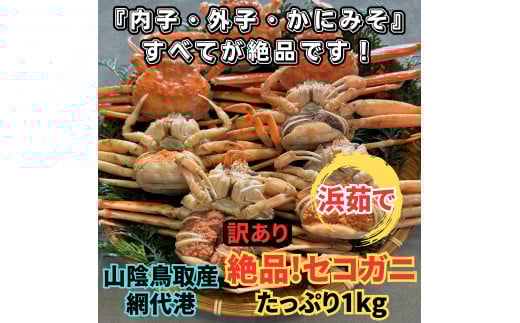 【訳あり】浜茹で！絶品セコガニ1kgセット 鳥取網代港 岩美 松葉ガニ ずわいがに かに カニ 日本海 せこがに 親がに 蟹汁【さかなや新鮮組】【22031】