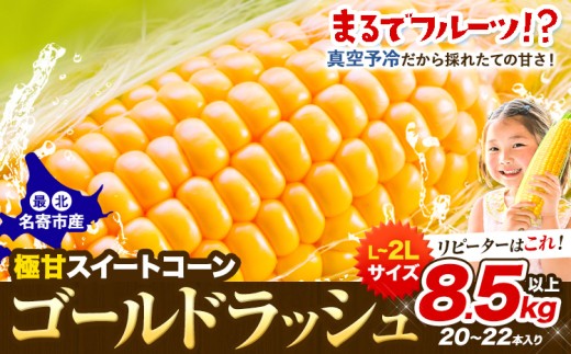 【先行予約】極甘 とうもろこし ゴールドラッシュ 8.5kg以上 20-22本 特大 スイートコーン 北海道 名寄市 なよろイエロー 名寄イエロー 朝採れ 真空予冷 冷蔵 トウモロコシ コーン 玉蜀黍 とうきび 生食 生で食べられる 高糖度 フルーツコーン 夏野菜 旬 TV紹介 お中元 夏ギフト 贈り物 贈答用 御祝 クール便 産地直送 もぎたて 大容量 バーベキュー BBQ 送料無料 8月 9月