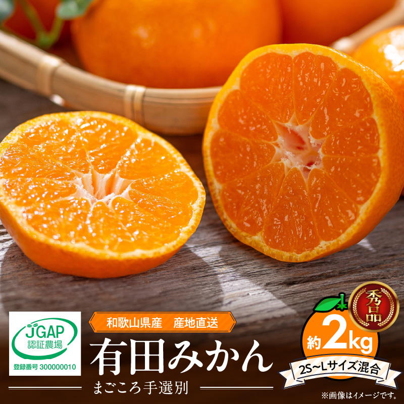 【秀品】【2026先行予約】有田みかん 和歌山県有田産 2kg (2S～Lサイズ混合) 【まごころ手選別】_ZE6415