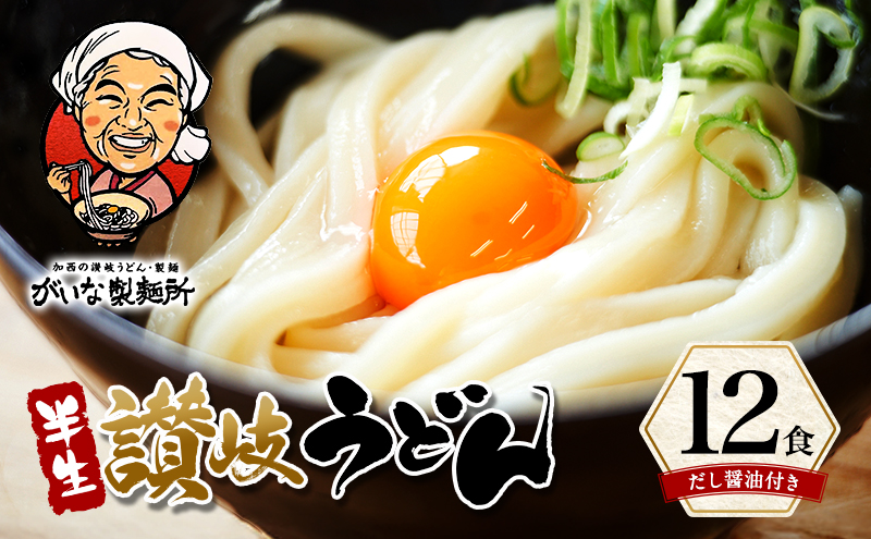 加西市で行列ができる『がいな製麺所』の 讃岐うどん セット こんぶ醤油付き （ 半生タイプ 讃岐 さぬき もっちり コシ 喉越し もちもち食感 ご当地 麺類 かけ 常温保存 有名店 人気店 老舗 製麺所 グルメ お取り寄せ ）