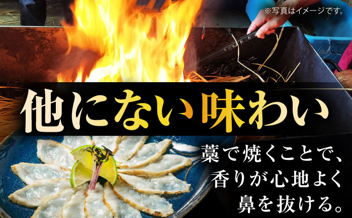 【新鮮！贅沢おつまみ】トラフグのたたき（小皿/40g）×3枚 / ポン酢 もみじおろし セット 冷凍 ふぐ 河豚 藁焼き / 南島原市 / 株式会社 FUKUNOTANE [SFJ032]