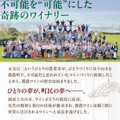ふるさと納税 都農町 【期間・数量限定】プライベートリザーブ5本セット 酒 飲料 アルコール 国産_T014-037 |  | 03