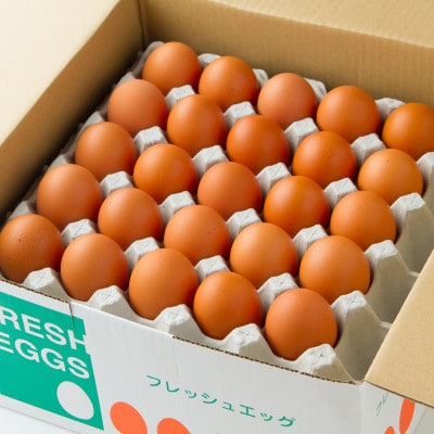 【毎月定期便】計150個【生みたて濃厚】谷川養鶏の赤たまご50ヶ入り(※サイズ指定できません)全3回【配送不可地域：離島】