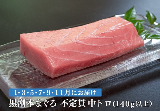 【定期便 6回】高知県産 本マグロ 中トロ 養殖 1柵 140g (不定貫)