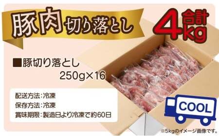 ＜2025年10月発送分＞宮崎県産 豚肉切り落とし 250g×16パック 合計4kg