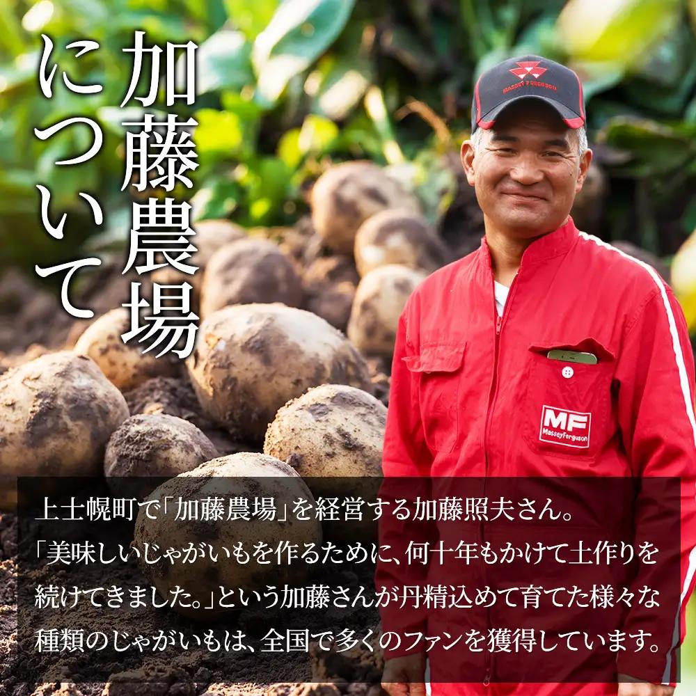 2026年産 先行予約 北海道産 カラフルじゃがいも 3種セット 計6kg 上士幌町加藤農場 馬鈴薯 芋 イモ 野菜 詰め合わせ　◆2026年12月配送予定