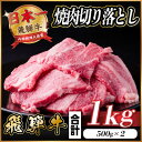 【ふるさと納税】飛騨牛 焼肉 切り落とし 約1kg(約500g×2)訳あり【冷蔵便】【配送不可地域：離島】【1543362】