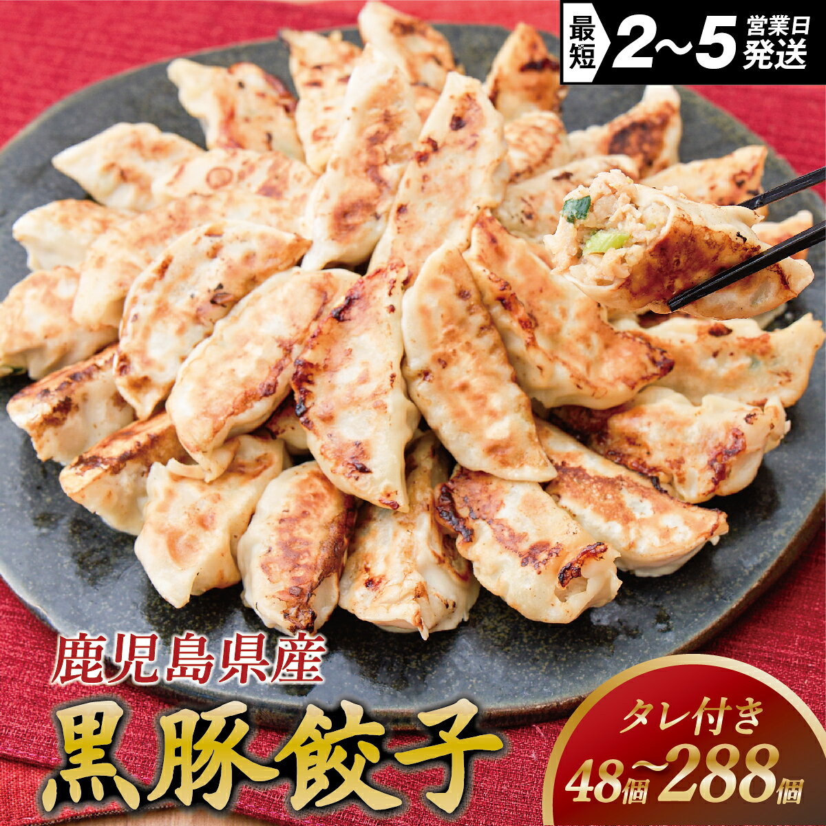 【ふるさと納税】餃子 48~288個 定期便 冷凍 小分け 選べる容量 黒豚餃子 ぎょうざ ギョーザ 豚肉 家族 子ども 弁当 中華 惣菜 大容量 人気 ランキング 美味しい おいしい 焼き餃子 揚げ餃子 冷凍餃子 おかず おつまみ