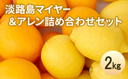 淡路島 マイヤー＆アレン 2kg 詰め合わせ セット レモン 檸檬 れもん グリーンレモン マイヤーレモン フルーツ 季節の果物 季節のフルーツ 旬のフルーツ 旬 洲本市