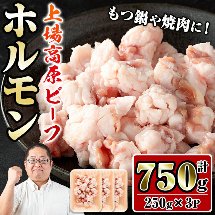 【ふるさと納税】上場高原ビーフ 小腸(計750g・250g×3P) 上場高原ビーフ ホルモン 焼肉 鉄板焼き もつ鍋 炒めもの 冷凍 小分け 【スーパーよしだ】