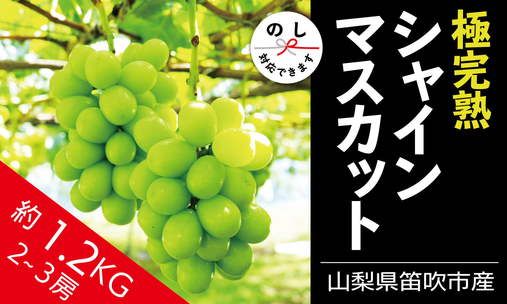 
＜25年発送先行予約＞☆絶品☆ シャインマスカット 2-3房約1.2kg 090-004 | シャインマスカット 発送 丸章青果 笛吹市 山梨 山梨県 種なし 完熟 フルーツ 果物 ぶどう 葡萄 シャインマスカット おすすめ 新鮮 贈答 ギフト 笛吹市 山梨 シャインマスカット 笛吹 葡萄 国産 ぶどう 人気 国産 1.2kg 1kg デザート 甘い 高級 くだもの ランキング |
