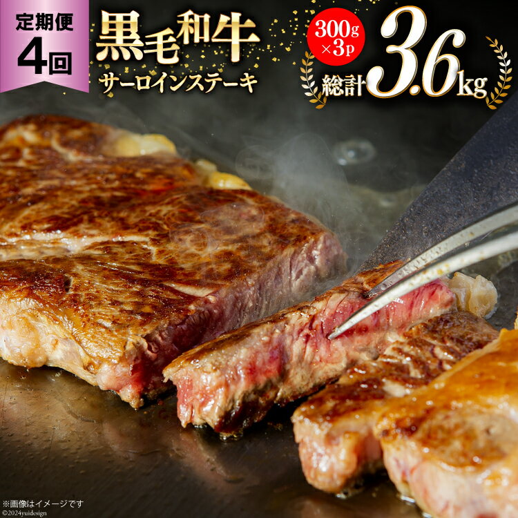 【ふるさと納税】4回 定期便 宮崎県産 黒毛和牛 サーロイン ステーキ 300g ×3×4ヶ月 合計3.6kg [サンアグリフーズ 宮崎県 美郷町 31ba0033] 小分け 冷凍 送料無料 国産 牛 肉 霜降り BBQ バーベキュー キャンプ 真空包装 スペース 収納 サシ がっつり 脂