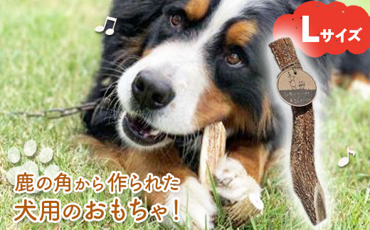 鹿の角から作られた犬用のおもちゃ！