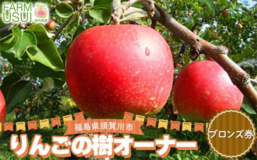 りんごの樹のオーナー ブロンズ（サンふじ100個） 体験 農作業 収穫 りんご リンゴ 林檎 デザート フルーツ 果物 くだもの F7X-0480