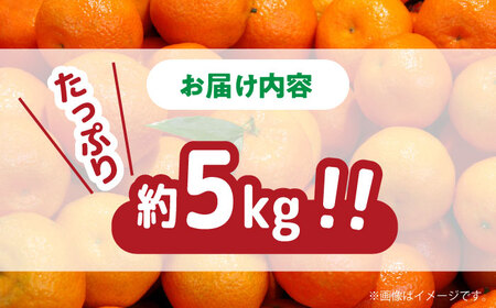【2024年11月下旬～発送】【高糖度】 温州みかん 約5kg / みかん ミカン 蜜柑 長崎県産みかん 糖度 果物 くだもの フルーツ ふるーつ 旬 家庭用 5kg / 南島原市 / 南島原果物屋 