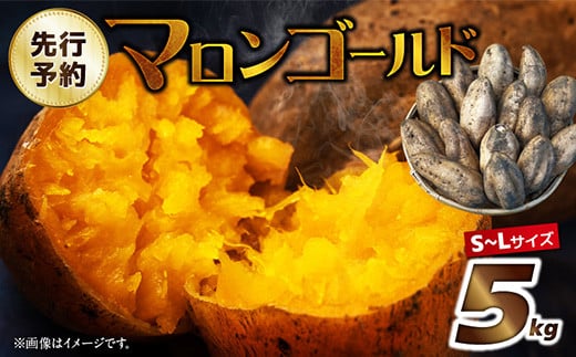 
            053-03 【先行予約】マロンゴールド5kg
          