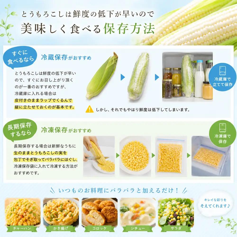 とうもろこし 【先行予約】ほしつぶコーン 12本 とうもろこし 北海道 スイートコーン