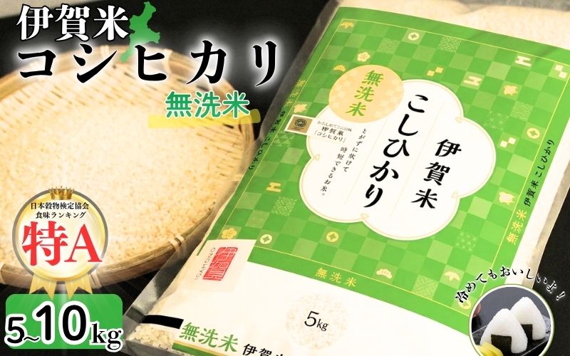 【ふるさと納税】令和7年産 無洗米 伊賀米コシヒカリ 5kg 10kg