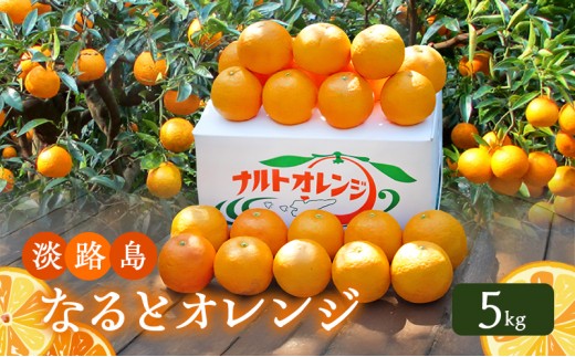 
                  幻の果物 なるとオレンジ 5kg 淡路島 柑橘類 旬のフルーツ 旬の果物 オレンジ 鳴門オレンジ 季節のフルーツ 季節の果物 幻 洲本市　お届け：4月上旬～6月下旬まで [№5395-0070]
                