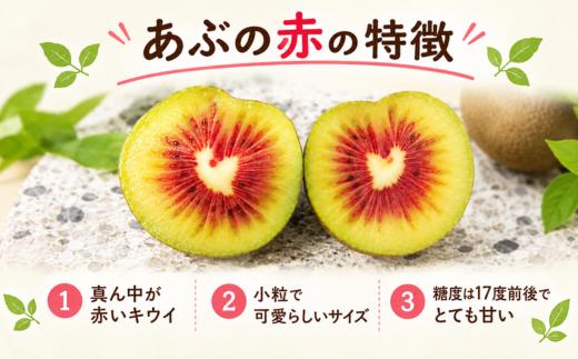 【先行予約】【家庭用】キウイ あぶの赤 1㎏ 山口県 阿武町産 数量限定 国産 果物 赤いキウイ《2026年10月下旬～発送予定》