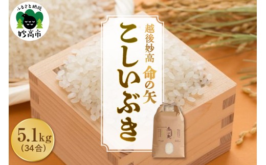 令和7年産 越後妙高命の矢 こしいぶき 5.1kg