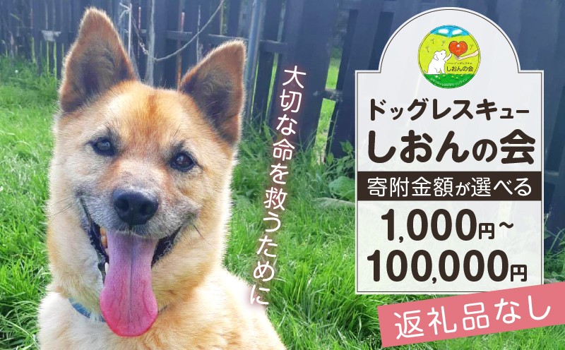 
                  【寄附額が選べる】【野犬の保護活動】浜中町「ドッグレスキューしおんの会」を支援　返礼品なし_H0039-001-SKU
                