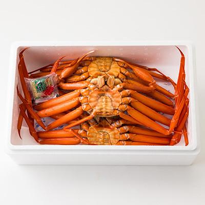 ふるさと納税 養父市 兵庫県香住産　釜茹で香住ガニ 2〜3匹入り(約1.1〜1.3kg)〈冷凍〉【9月中旬以降発送】 |  | 02