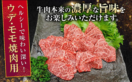 【全6回定期便】熊本県産 A5等級 黒毛和牛 和王 ウデ・モモ 焼肉用 約400g 計約2.4kg【帝神志方ミート 株式会社】[AYCH026]